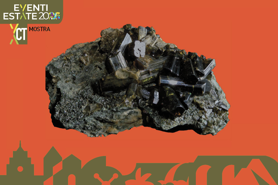 46ª Manifestazione di Borsa e Scambio del Minerale e del Fossile - Cultura